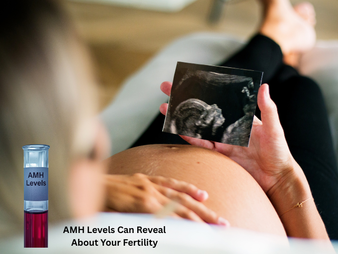 5 Critical Things Your AMH Levels Can Reveal About Your Fertility Struggles