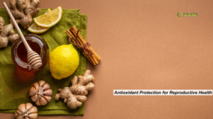 Black Seed Oil and Fibroids: 7 Amazing Benefits You Must Know