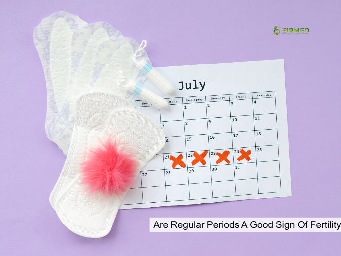 Are Regular Periods A Good Sign Of Fertility 2025 | Proven Insights for Women