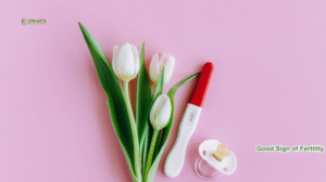 Are Regular Periods A Good Sign Of Fertility