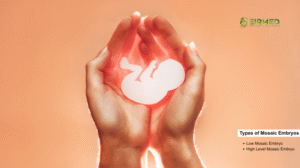 Mosaicism Embryo | Proven Facts and Hope in 2025