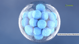Mosaicism Embryo | Proven Facts and Hope in 2025