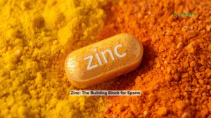 Male Fertility Multivitamin 2025 with Essential Boost for Confidence